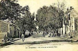 FRENDA 20